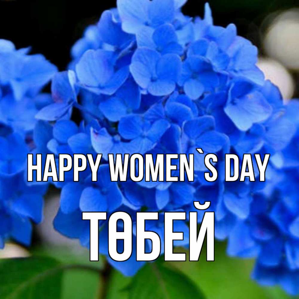 Greetings card с именем, ТӨБЕЙ happy women`s day синие цветы Greetings with text for free download 